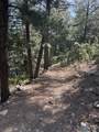 160 Indian Paint Brush Road - Photo 20