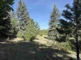 160 Indian Paint Brush Road - Photo 21