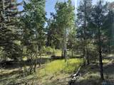 160 Indian Paint Brush Road - Photo 23