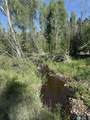 160 Indian Paint Brush Road - Photo 25