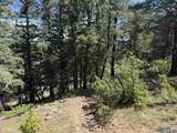 160 Indian Paint Brush Road - Photo 6