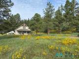 150 Forrest Service Road 124 - Photo 1
