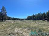 150 Forrest Service Road 124 Road - Photo 27