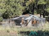 150 Forrest Service Road 124 Road - Photo 7
