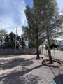 303 Calle Del Corte Street - Photo 19