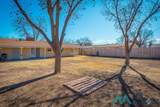 3110 Delicado Avenue - Photo 36