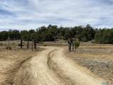 18 Bar S Trail - Photo 59