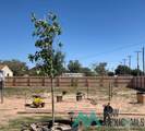 208 Mathews Street - Photo 22