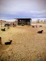 5234 Country Club Road - Photo 19