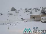 45 Saddle Rock Canyon Road - Photo 35