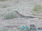 45 Saddle Rock Canyon Road - Photo 36