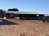3410 Rose Road - Photo 31