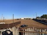 3410 Rose Road - Photo 55