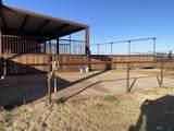 3410 Rose Road - Photo 68