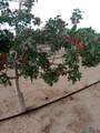 7074 Kevil - Photo 10