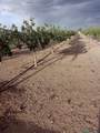 7074 Kevil - Photo 11