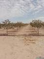 7074 Kevil - Photo 6