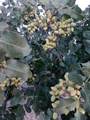 7074 Kevil - Photo 7