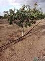 7074 Kevil - Photo 8