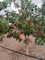 7074 Kevil - Photo 9