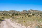 5 Tulpia Trail - Photo 54