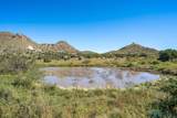 5 Tulpia Trail - Photo 58