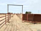 1906 Pecos Hwy - Photo 49