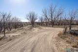 201 Squirrel Roads - Photo 28