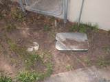 1114 Thomas Street - Photo 39