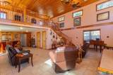20 Nichol Street - Photo 5