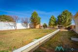 20 Nichol Street - Photo 56
