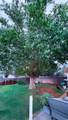 1708 Ross St - Photo 37