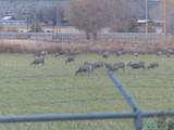 34 Jade Road San Acacia, Nm - Photo 37