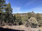 24 Talavera Ln - Photo 5