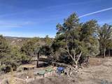 24 Talavera Ln - Photo 6