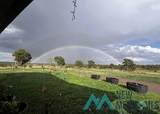 32 Hickey Road - Photo 3