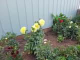 716 19th Street - Photo 17