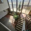 121 Remuda Drive - Photo 5