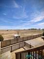 7177 Old Chisum Trail Road - Photo 8