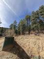 1025 Hwy 94 Highway - Photo 10