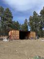 1025 Hwy 94 Highway - Photo 11