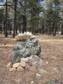 1025 Hwy 94 Highway - Photo 14