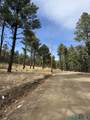 1025 Hwy 94 Highway - Photo 2