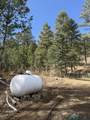 1025 Hwy 94 Highway - Photo 6