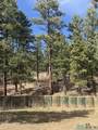 1025 Hwy 94 Highway - Photo 7