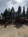 1025 Hwy 94 Highway - Photo 8