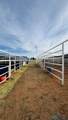 5206 Grimes Street - Photo 10