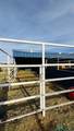 5206 Grimes Street - Photo 12