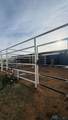 5206 Grimes Street - Photo 13