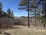 101 Oak Meadow Dr Drive - Photo 2